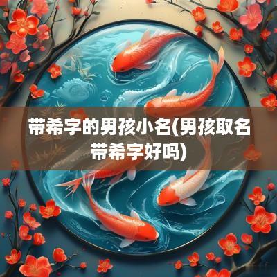带希字的男孩小名(男孩取名带希字好吗)