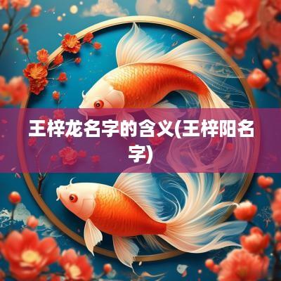王梓龙名字的含义(王梓阳名字)