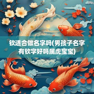钦适合做名字吗(男孩子名字有钦字好吗属虎宝宝)
