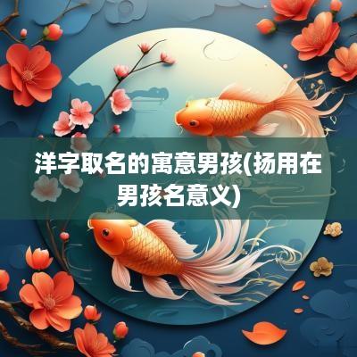 洋字取名的寓意男孩(扬用在男孩名意义)