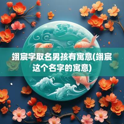 翊宸字取名男孩有寓意(翊宸这个名字的寓意)