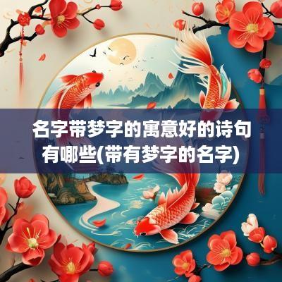 名字带梦字的寓意好的诗句有哪些(带有梦字的名字)