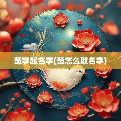 楚字起名字(楚怎么取名字)