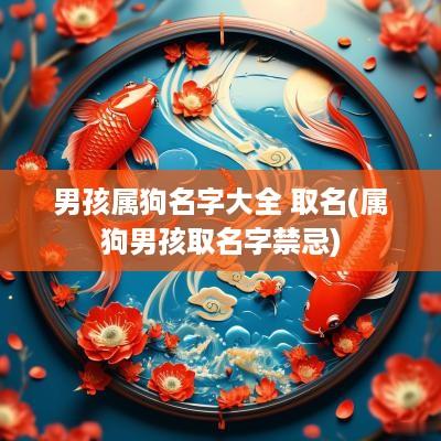 男孩属狗名字大全 取名(属狗男孩取名字禁忌)