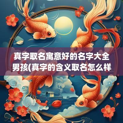 真字取名寓意好的名字大全男孩(真字的含义取名怎么样)