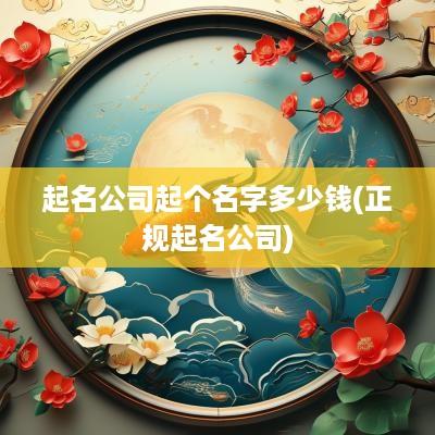 起名公司起个名字多少钱(正规起名公司)
