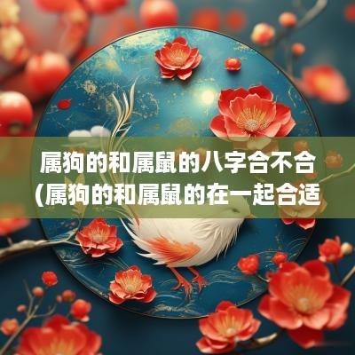 属狗的和属鼠的八字合不合(属狗的和属鼠的在一起合适吗)