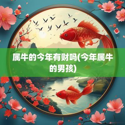 属牛的今年有财吗(今年属牛的男孩)