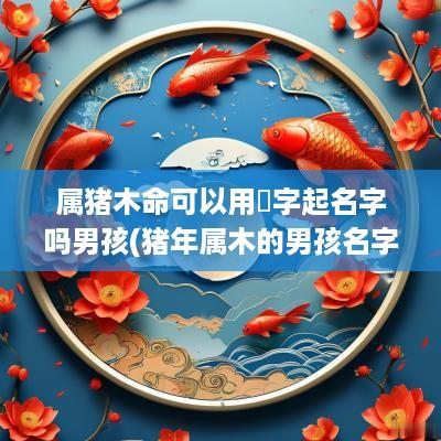 属猪木命可以用堃字起名字吗男孩(猪年属木的男孩名字)