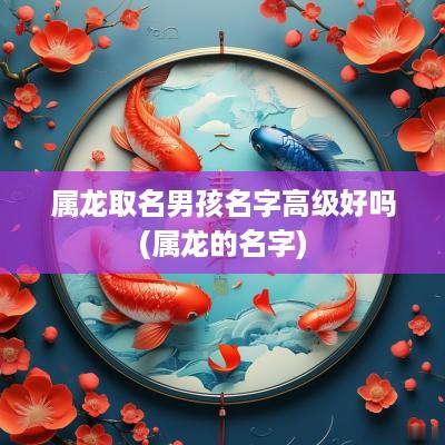 属龙取名男孩名字高级好吗(属龙的名字)
