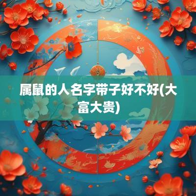 属鼠的人名字带子好不好(大富大贵)