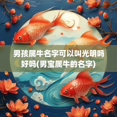 男孩属牛名字可以叫光明吗好吗(男宝属牛的名字)