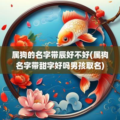 属狗的名字带辰好不好(属狗名字带甜字好吗男孩取名)