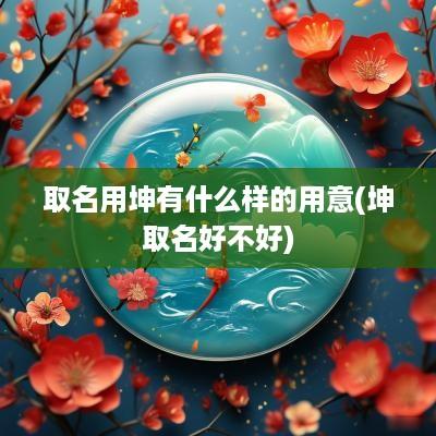 取名用坤有什么样的用意(坤取名好不好)