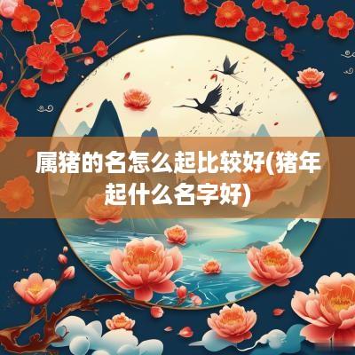 属猪的名怎么起比较好(猪年起什么名字好)