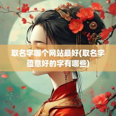 取名字哪个网站最好(取名字蕴意好的字有哪些)