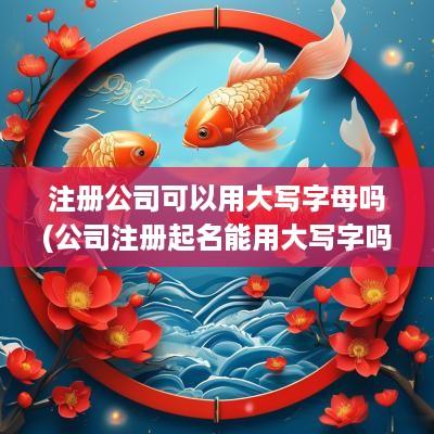 注册公司可以用大写字母吗(公司注册起名能用大写字吗)