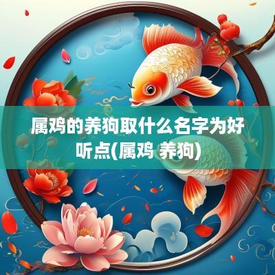 属鸡的养狗取什么名字为好听点(属鸡 养狗)