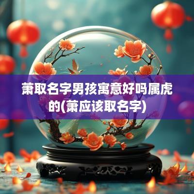 萧取名字男孩寓意好吗属虎的(萧应该取名字)