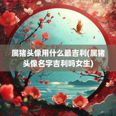 属猪头像用什么最吉利(属猪头像名字吉利吗女生)