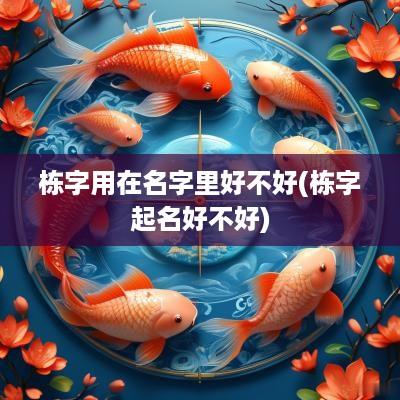 栋字用在名字里好不好(栋字起名好不好)