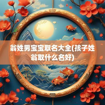 翁姓男宝宝取名大全(孩子姓翁取什么名好)