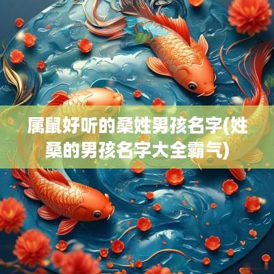 属鼠好听的桑姓男孩名字(姓桑的男孩名字大全霸气)