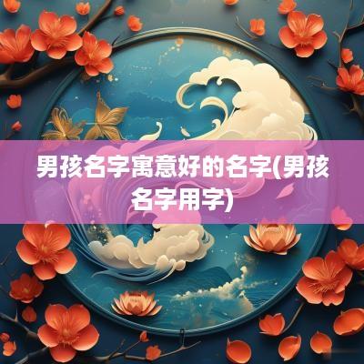 男孩名字寓意好的名字(男孩名字用字)