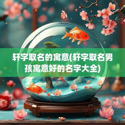 轩字取名的寓意(轩字取名男孩寓意好的名字大全)