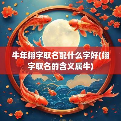 蛇年翊字取名配什么字好(翊字取名的含义属牛)