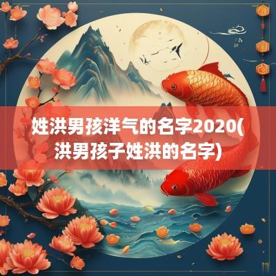 姓洪男孩洋气的名字2025(洪男孩子姓洪的名字)