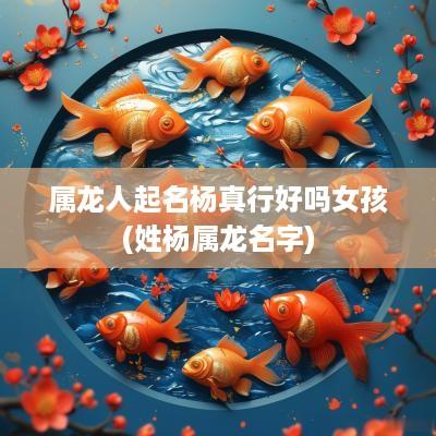 属龙人起名杨真行好吗女孩(姓杨属龙名字)