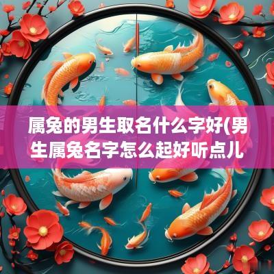 属兔的男生取名什么字好(男生属兔名字怎么起好听点儿)