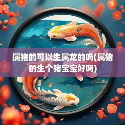 属猪的可以生属龙的吗(属猪的生个猪宝宝好吗)