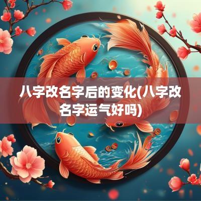 八字改名字后的变化(八字改名字运气好吗)