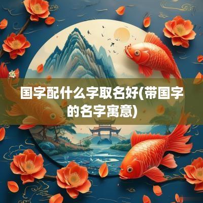 国字配什么字取名好(带国字的名字寓意)