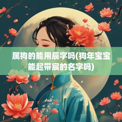 属狗的能用辰字吗(狗年宝宝能起带宸的名字吗)