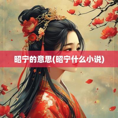 昭宁的意思(昭宁什么小说)
