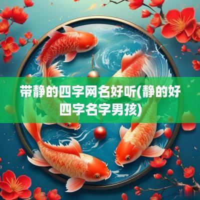 带静的四字网名好听(静的好四字名字男孩)