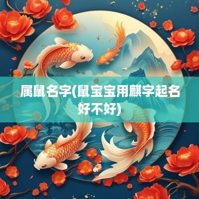 属鼠名字(鼠宝宝用麒字起名好不好)
