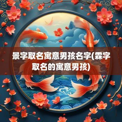 景字取名寓意男孩名字(霖字取名的寓意男孩)