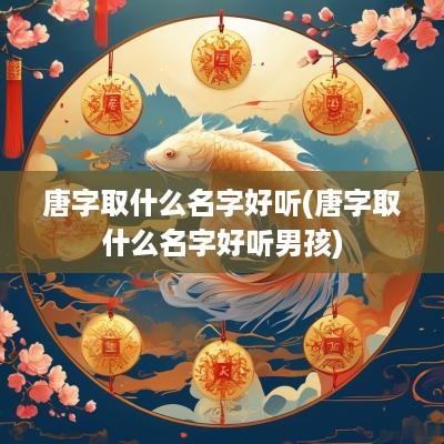 唐字取什么名字好听(唐字取什么名字好听男孩)