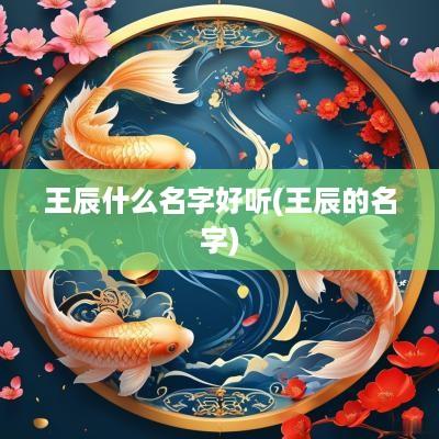 王辰什么名字好听(王辰的名字)