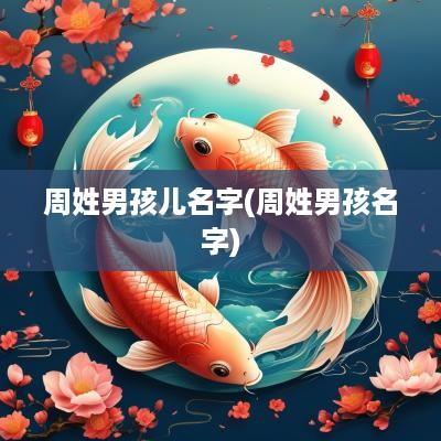 周姓男孩儿名字(周姓男孩名字)