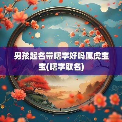 男孩起名带曙字好吗属虎宝宝(曙字取名)