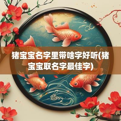 猪宝宝名字里带啥字好听(猪宝宝取名字最佳字)