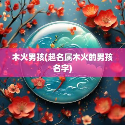 木火男孩(起名属木火的男孩名字)