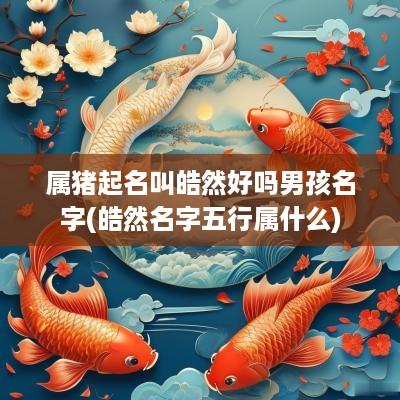 属猪起名叫皓然好吗男孩名字(皓然名字五行属什么)