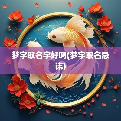 梦字取名字好吗(梦字取名忌讳)
