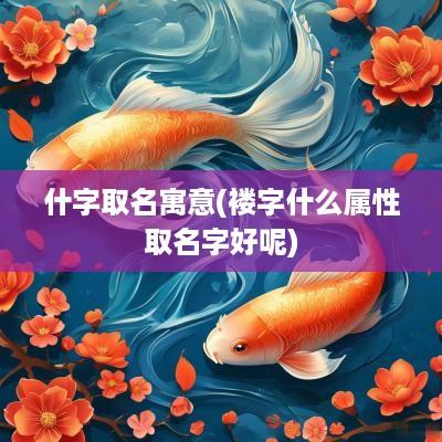 什字取名寓意(褛字什么属性取名字好呢)